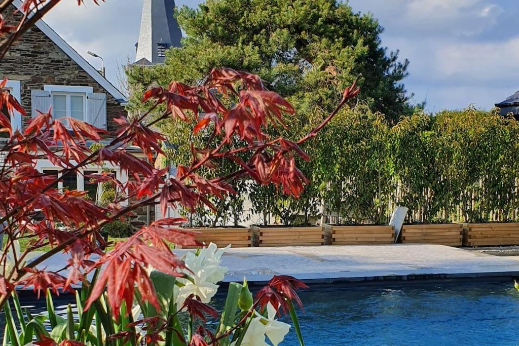 Pine Cottage- 5 Minutes Francorchamps - Charme -Piscine-Calme-Jardin Sart  Экстерьер фото